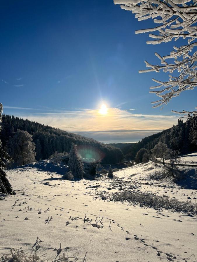 Gasthof & Pension "Schwarzer Adler" Masserberg Bagian luar foto